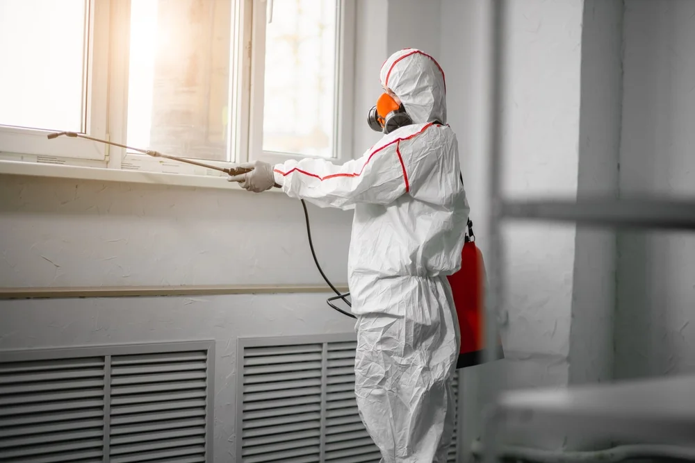 Professional mold remediation services in Hogansville, GA